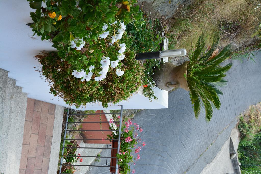 B&B La Casa Rossa Paola Eksteriør billede